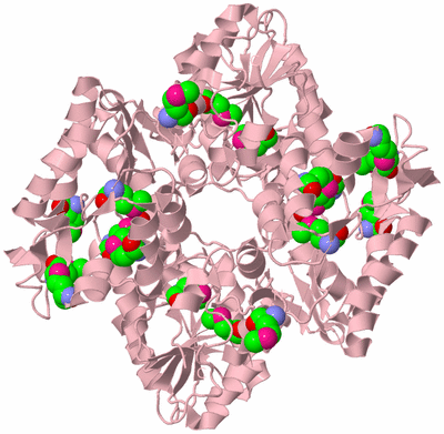 Image Biological Unit 2