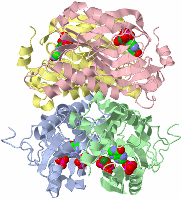 Image Asym./Biol. Unit