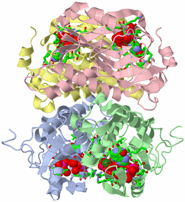 Image Asym./Biol. Unit - sites