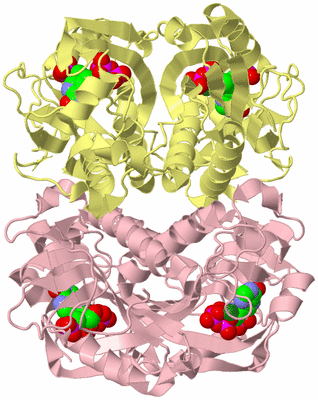 Image Biological Unit 2