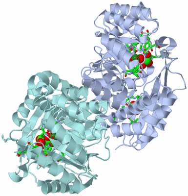 Image Biol. Unit 1 - sites