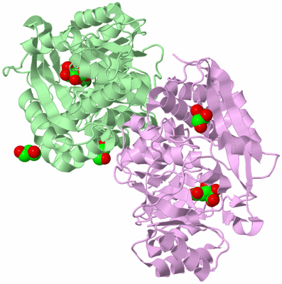 Image Biological Unit 2