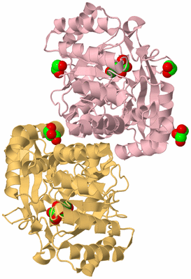 Image Biological Unit 3