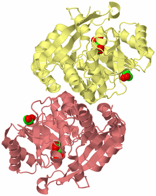 Image Biological Unit 4