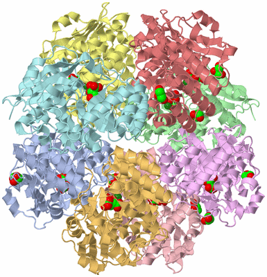 Image Biological Unit 5