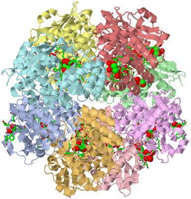 Image Asym. Unit - sites