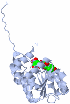 Image Biological Unit 1