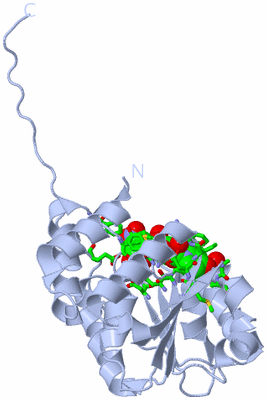 Image Biol. Unit 1 - sites