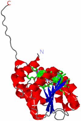 Image Asym. Unit - sites