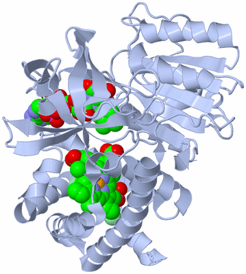 Image Biological Unit 1