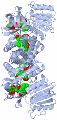 Image Biological Unit 2