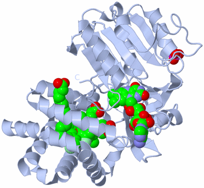 Image Biological Unit 1