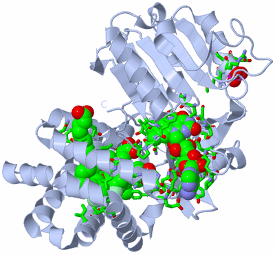 Image Biol. Unit 1 - sites