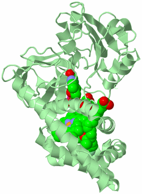 Image Biological Unit 2