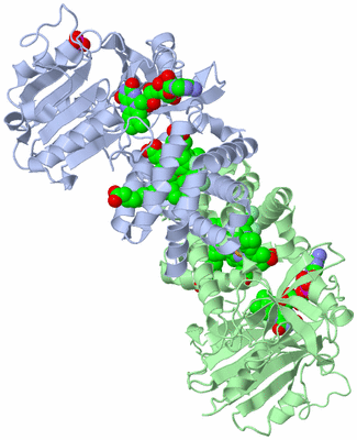 Image Biological Unit 3