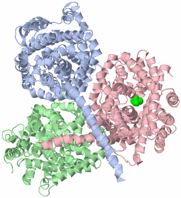 Image Asym./Biol. Unit