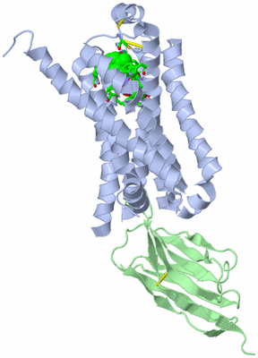 Image Asym./Biol. Unit - sites