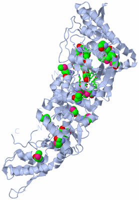 Image Biol. Unit 1 - sites