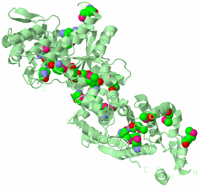 Image Biological Unit 2