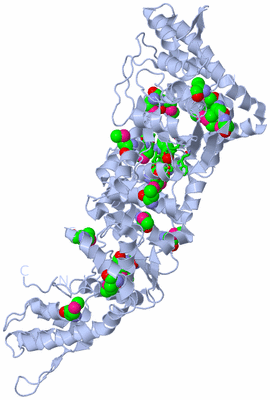 Image Biol. Unit 1 - sites