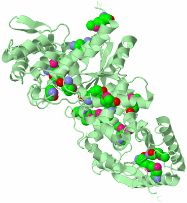 Image Biological Unit 2