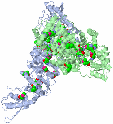 Image Asym. Unit - sites