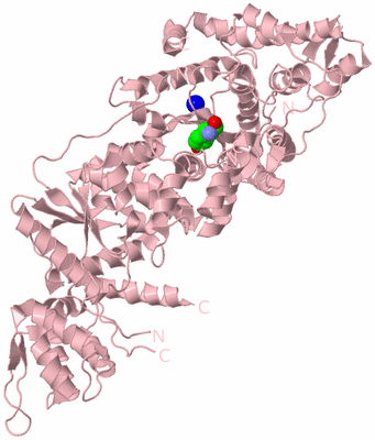 Image Biological Unit 3