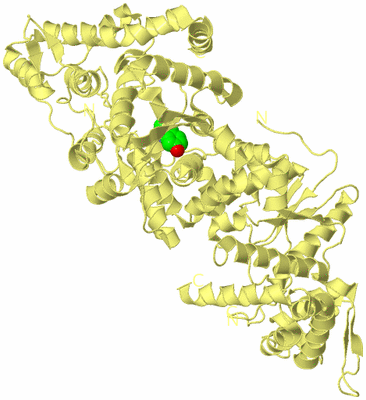 Image Biological Unit 4