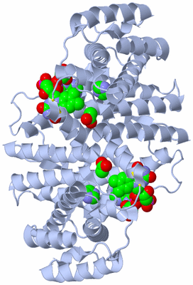 Image Biological Unit 1