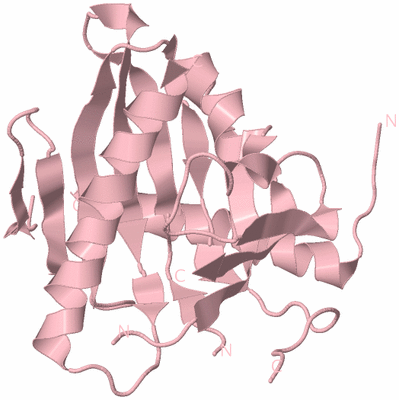 Image Biological Unit 3