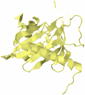 Image Biological Unit 4