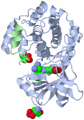 Image Asym./Biol. Unit