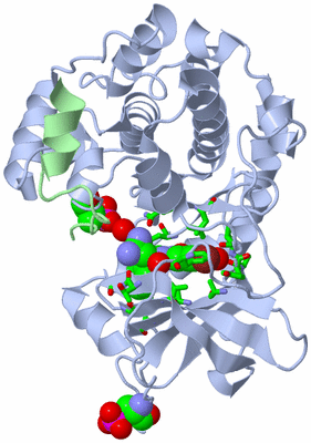 Image Asym./Biol. Unit - sites