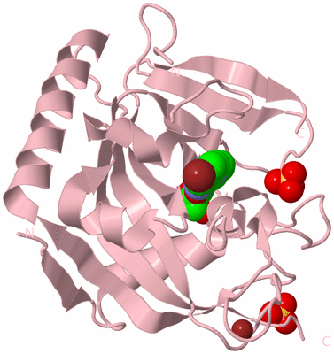 Image Biological Unit 2