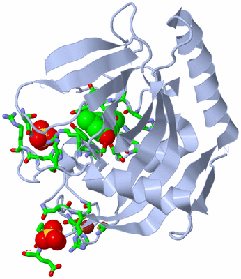 Image Biol. Unit 1 - sites