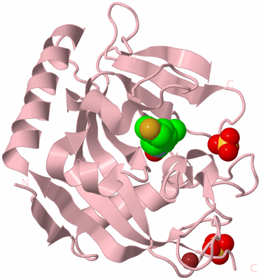 Image Biological Unit 2