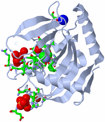 Image Biol. Unit 1 - sites