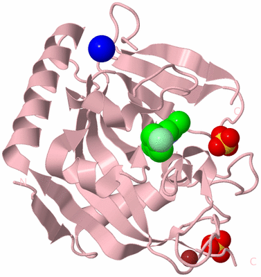 Image Biological Unit 2