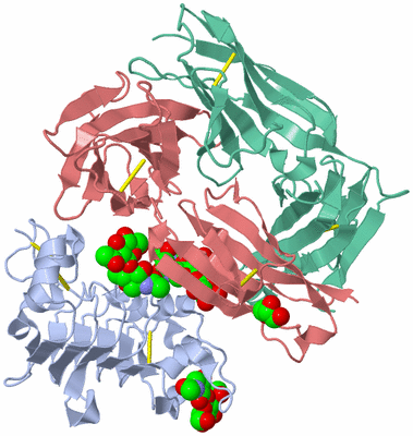 Image Biological Unit 1