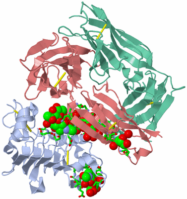 Image Biol. Unit 1 - sites