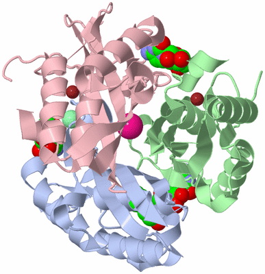 Image Asym./Biol. Unit