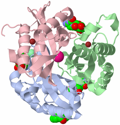 Image Asym./Biol. Unit