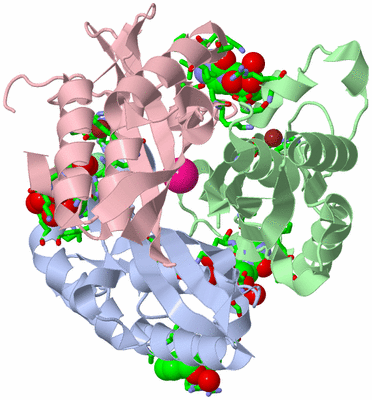 Image Asym./Biol. Unit - sites