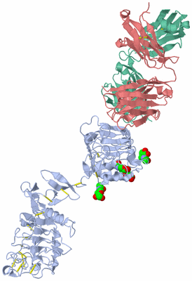 Image Asym./Biol. Unit