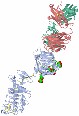 Image Asym./Biol. Unit - sites