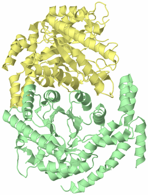 Image Biological Unit 2