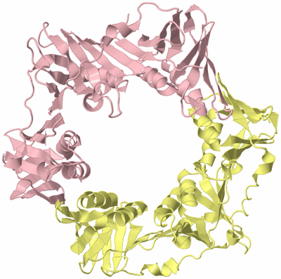 Image Biological Unit 2