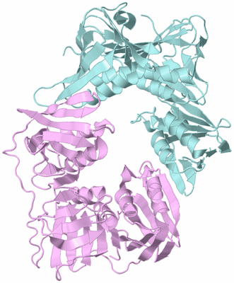 Image Biological Unit 3