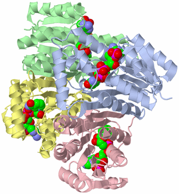 Image Biological Unit 1