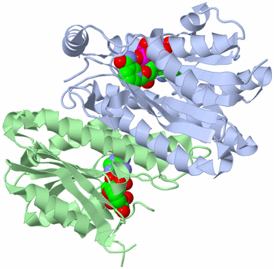 Image Biological Unit 2